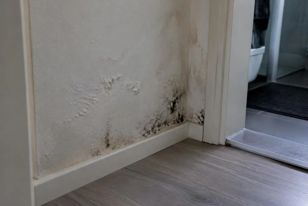 Lekdetectie Stolwijk – vochtplek met schimmel op een muur